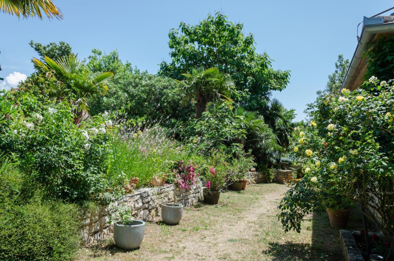 Villa Anna Savudrija Εξωτερικό φωτογραφία